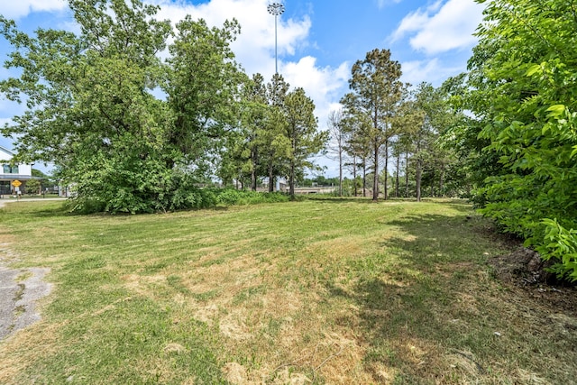 4206 Sharon St, Houston, TX 77020