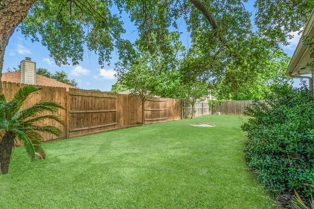 31115 Perlican Dr, Spring, TX 77386 - view of yard