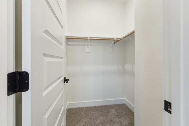 807 Martin St Unit D, Houston, TX 77018 - spacious closet with carpet floors