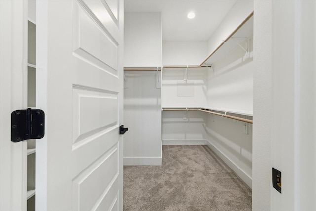 807 Martin St Unit C, Houston, TX 77018 - spacious closet with light carpet