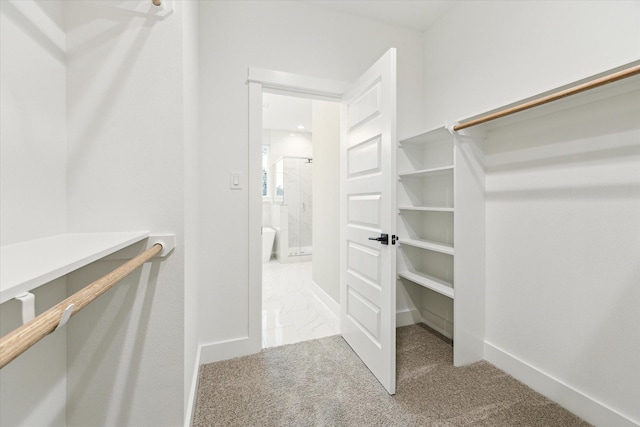 807 Martin St Unit C, Houston, TX 77018 - walk in closet featuring carpet flooring
