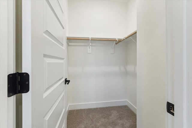 807 Martin St Unit C, Houston, TX 77018 - spacious closet with carpet