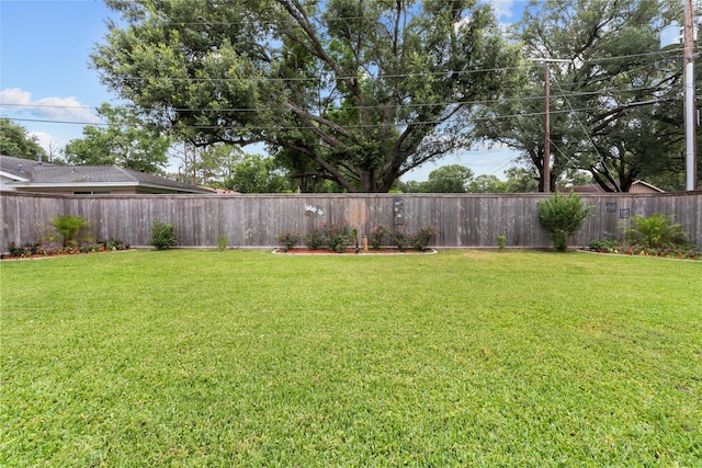 1608 Lark St, Alvin, TX 77511 - view of yard