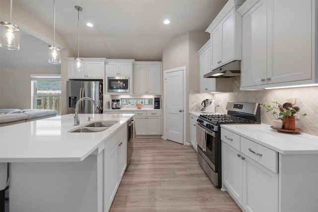 4607 Primrose Valley Ln, Fulshear, TX 77441 - kitchen featuring appliances with stainless steel finishes, a sink, under cabinet range hood, tasteful backsplash, and light wood-style floors