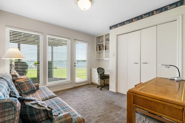112 Cove Pt, Montgomery, TX 77356 - sitting room featuring carpet floors and a desk