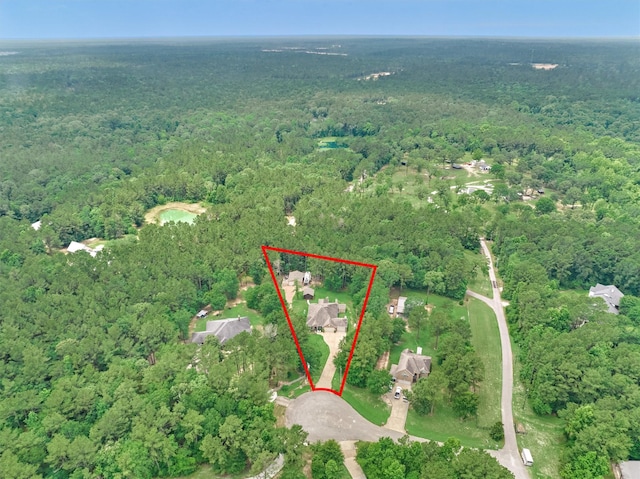 10910 Maddys Ct, Montgomery, TX 77316 - view of property location with a heavily wooded area and property boundaries highlighted