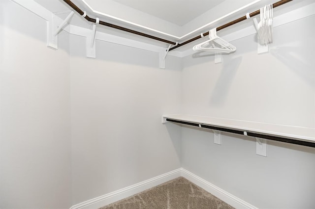 2628 Diamond Reef Ln, Texas City, TX 77568 - walk in closet with carpet flooring