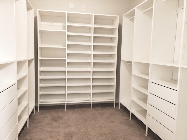2726 Little Caney Way, Conroe, TX 77301 - walk in closet with carpet floors