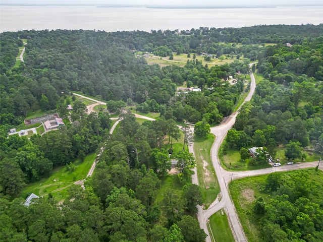 131 Holiday Blvd, Coldspring, TX 77331 - aerial overview of property's location with a heavily wooded area