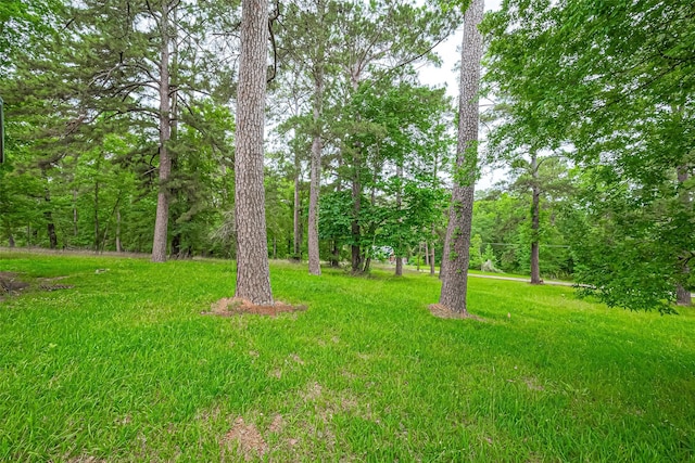 131 Holiday Blvd, Coldspring, TX 77331 - view of yard