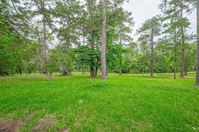 131 Holiday Blvd, Coldspring, TX 77331 - view of yard