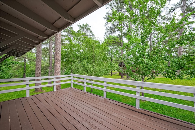 131 Holiday Blvd, Coldspring, TX 77331 - view of deck