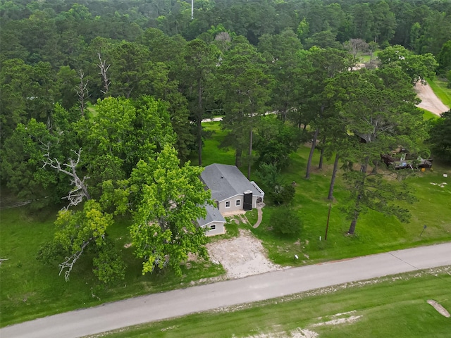 131 Holiday Blvd, Coldspring, TX 77331 - view of subject property with a forest