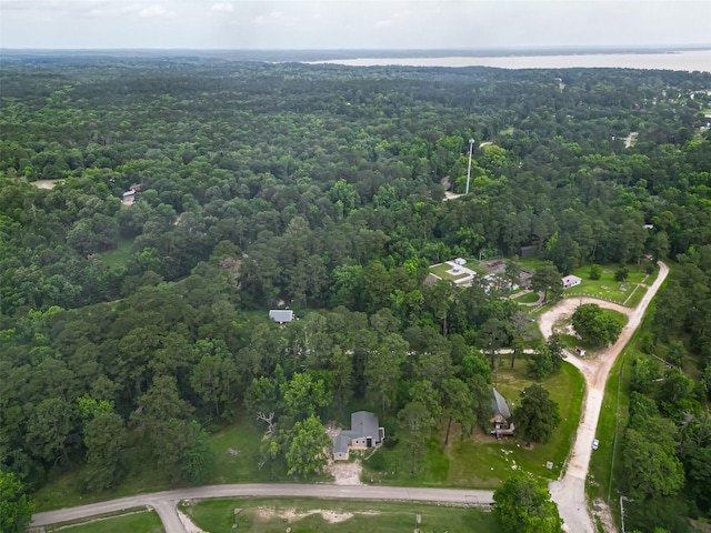 131 Holiday Blvd, Coldspring, TX 77331 - aerial overview of property's location featuring a heavily wooded area