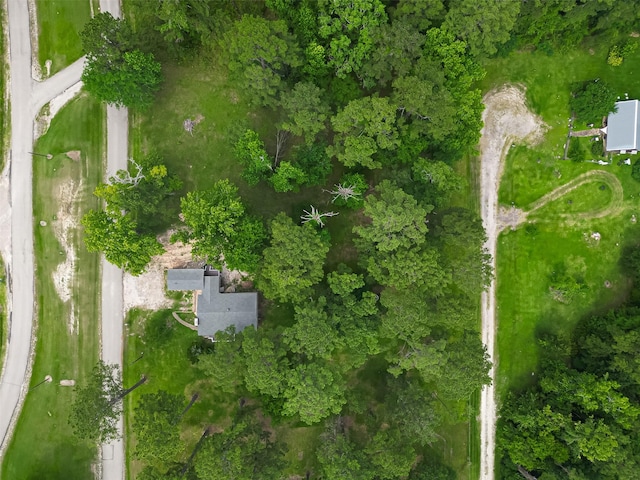 131 Holiday Blvd, Coldspring, TX 77331 - aerial view of property's location