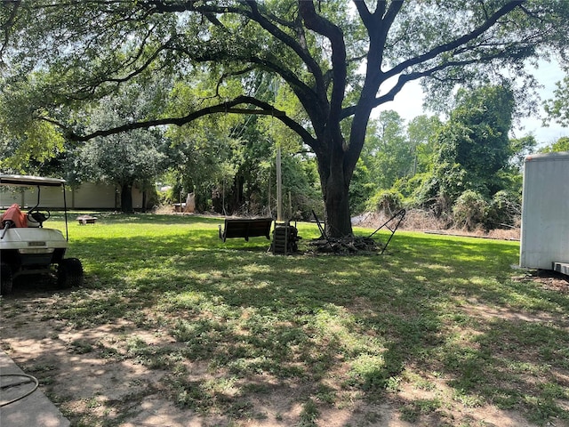 17518 Jackson Pnes, Houston, TX 77090 - view of green lawn