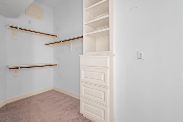1107 Walden Hill Ct, Houston, TX 77077 - walk in closet featuring carpet flooring
