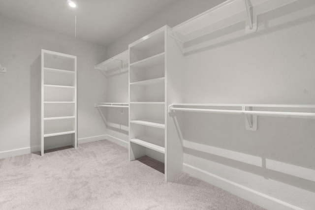 28200 E Stallion Ln, Waller, TX 77484 - spacious closet featuring carpet floors