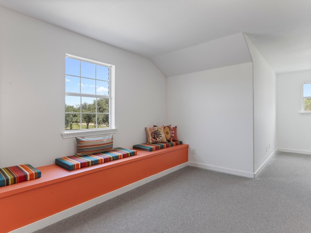 14624 Dove Ln, Needville, TX 77461 - living area featuring light colored carpet, baseboards, and lofted ceiling