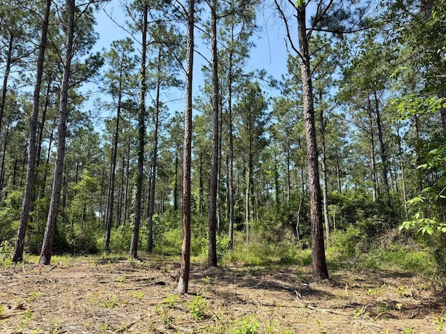 1 Camp Ruby Rd, Livingston, TX 77351 - photo 10