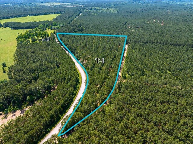 1 Camp Ruby Rd, Livingston, TX 77351 - photo 1