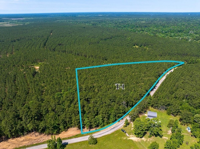 1 Camp Ruby Rd, Livingston, TX 77351 - photo 2