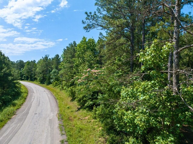 1 Camp Ruby Rd, Livingston, TX 77351 - photo 3