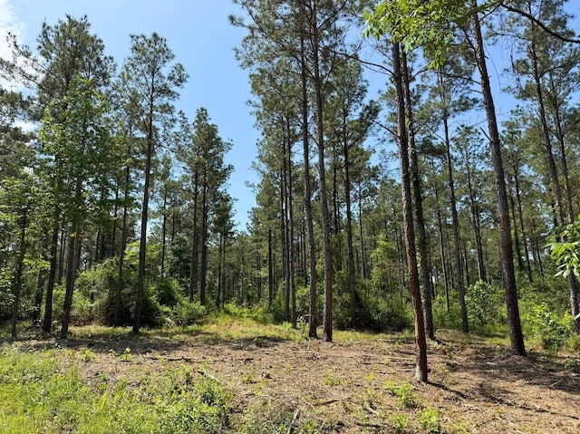 1 Camp Ruby Rd, Livingston, TX 77351 - photo 5