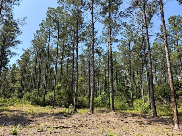 1 Camp Ruby Rd, Livingston, TX 77351 - photo 6