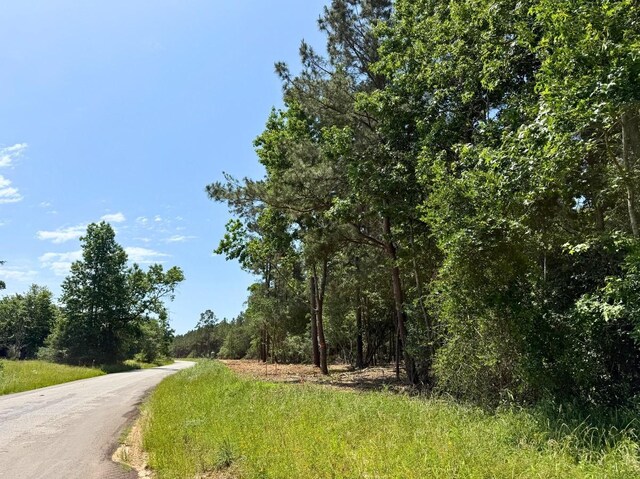 1 Camp Ruby Rd, Livingston, TX 77351 - photo 7
