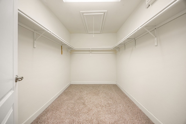 4911 Lattimore Creek Dr, Houston, TX 77084 - walk in closet with attic access and light colored carpet
