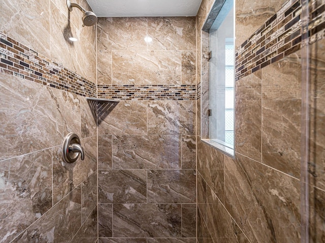 15510 Tysor Park Ln, Houston, TX 77095 - detailed view of tiled shower