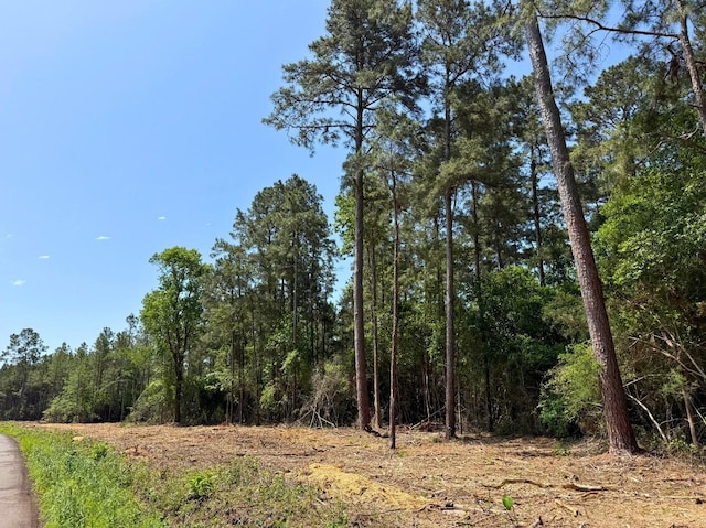 5 Camp Ruby Rd, Livingston, TX 77351
