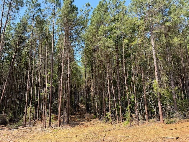 5 Camp Ruby Rd, Livingston, TX 77351