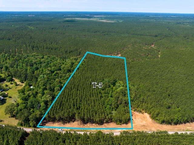 5 Camp Ruby Rd, Livingston, TX 77351