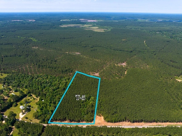 5 Camp Ruby Rd, Livingston, TX 77351