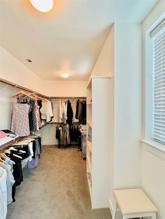 1840 Parana Dr, Houston, TX 77080 - spacious closet with light colored carpet