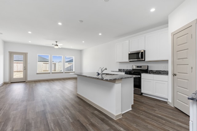 407 Emma St, Angleton, TX 77515 - kitchen featuring appliances with stainless steel finishes, a sink, a ceiling fan, dark wood-type flooring, and recessed lighting