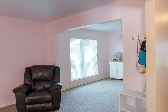 6014 Ghana Ln, Pasadena, TX 77505 - living area featuring carpet flooring and baseboards
