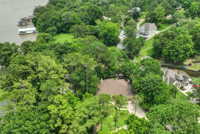 210 Harbor Run Dr, Coldspring, TX 77331 - aerial perspective of suburban area