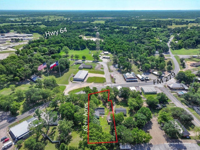 1498 Fm 279, Ben Wheeler, TX 75754 - view of property location featuring property boundaries highlighted