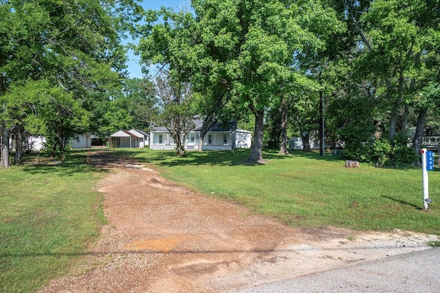 1498 Fm 279, Ben Wheeler, TX 75754 - view of front of house featuring dirt driveway, a front lawn, and view of scattered trees