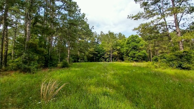 1 Nursery Rd, Livingston, TX 77351