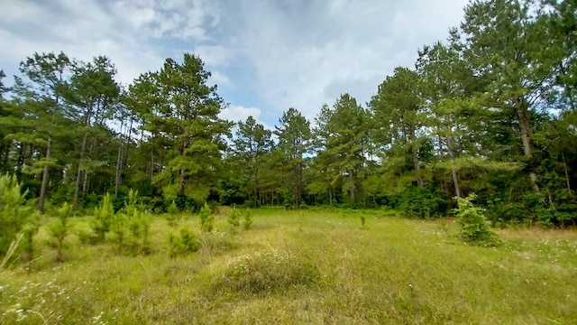 1 Nursery Rd, Livingston, TX 77351