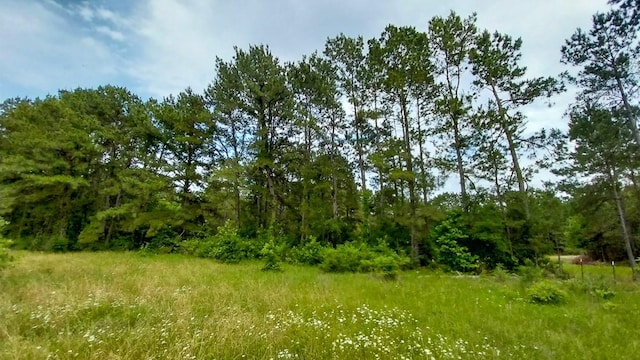 1 Nursery Rd, Livingston, TX 77351