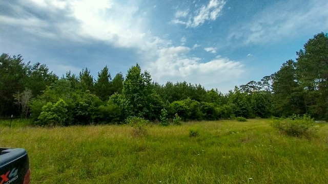 1 Nursery Rd, Livingston, TX 77351