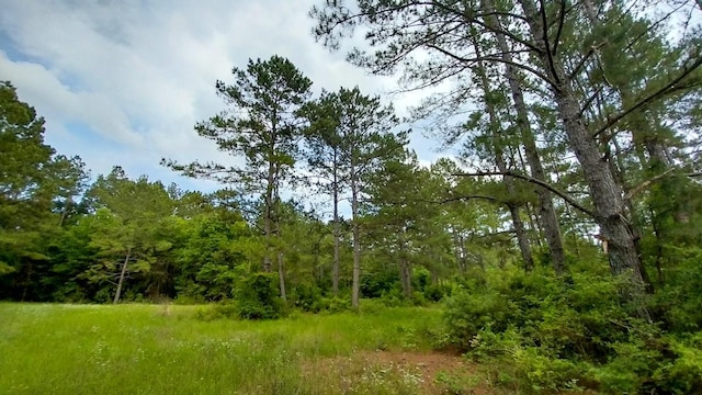 1 Nursery Rd, Livingston, TX 77351