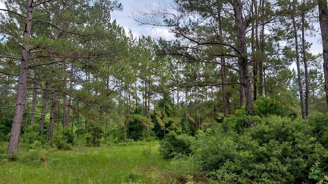 1 Nursery Rd, Livingston, TX 77351