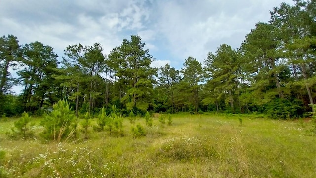 1 Nursery Rd, Livingston, TX 77351