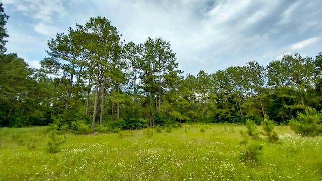 1 Nursery Rd, Livingston, TX 77351